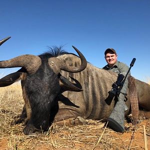 Hunt Blue Wildebeest in South Africa