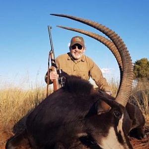 South Africa Hunting Sable Antelope