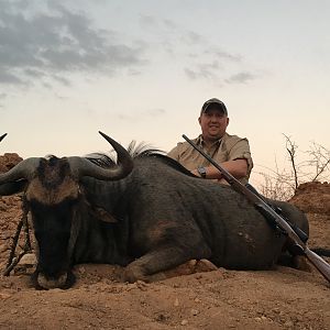 South Africa Hunt Blue Wildebeest