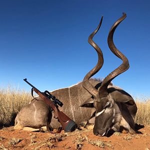 Hunt Kudu in South Africa