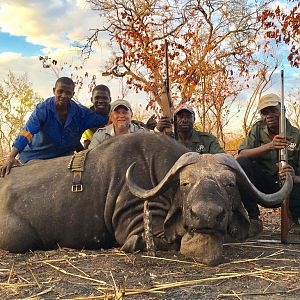 Buffalo Hunt Mozambique