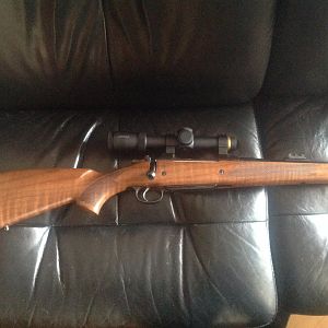 CZ550 - .375 HH Rifle