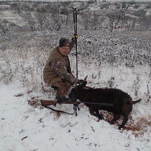 Catalina Goat Hunting Texas USA