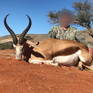 Springbok Hunt South Africa