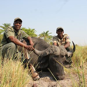 Hunting Buffalo in Namibia