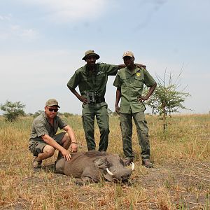 Hunt Warthog in Namibia