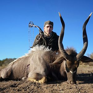 Bow Hunt Nyala in South Africa