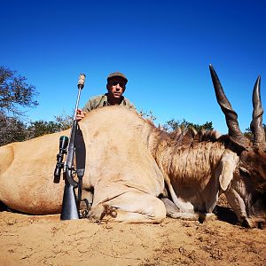 Hunting Eland in South Africa