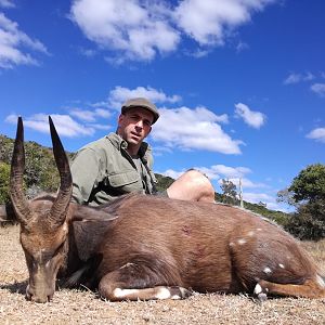 Bushbuck Hunting South Africa