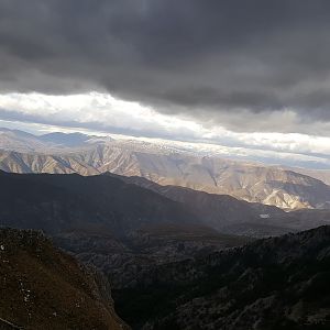 Hunting Chamois in Macedonia