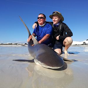 Drone-fishing for Bronze Whalers at Gansbaai, South Africa