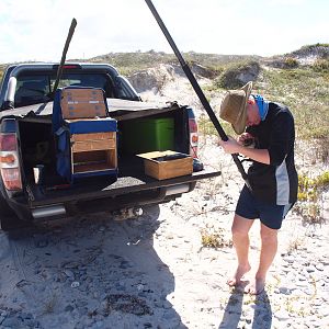 Drone-fishing for Bronze Whalers at Gansbaai, South Africa