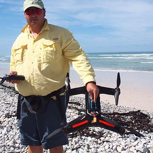 Drone-fishing for Bronze Whalers at Gansbaai, South Africa