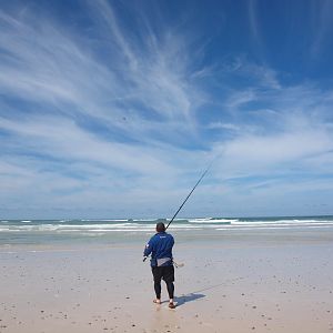 Drone-fishing for Bronze Whalers at Gansbaai, South Africa