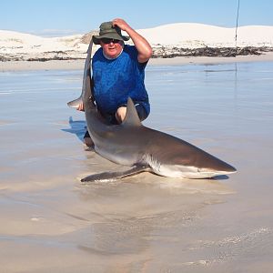 Drone-fishing for Bronze Whalers at Gansbaai, South Africa