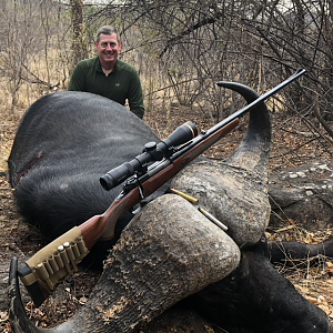 Zimbabwe Hunt Cape Buffalo