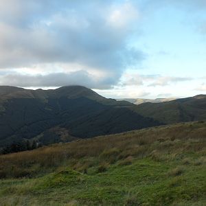 Hunting Red Stag in Scotland