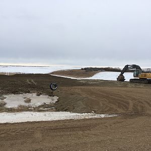 Pheasant Hunt Saskatchewan