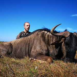 South Africa Hunt Blue Wildebeest