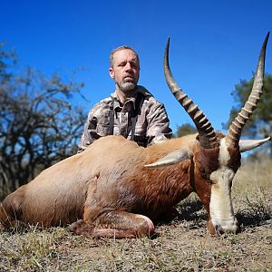 Hunting Blesbok in South Africa