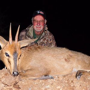 Common Duiker