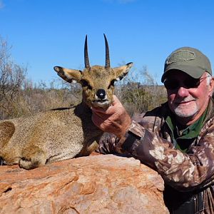 Klipspringer