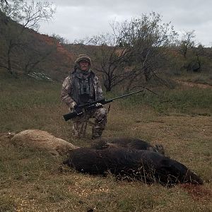 Texas USA Hunting Hog