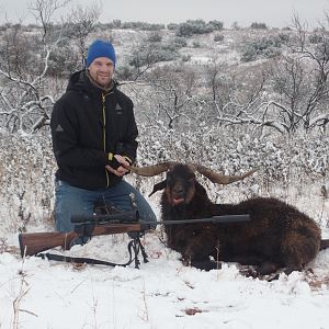 Hunting Catalina Goat in Texas USA