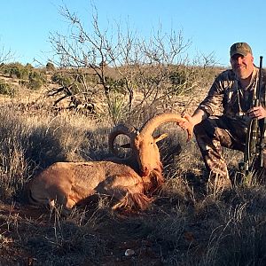 Texas USA Hunting Aoudad