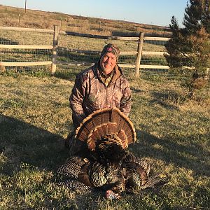 Turkey Hunting Texas USA