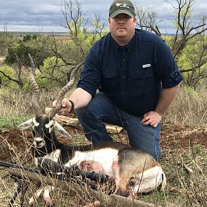 Blackbuck Hunting Texas USA