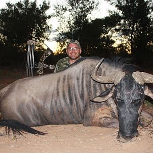 Blue Wildebeest Bow Hunt South Africa