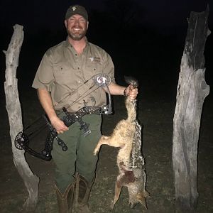 Jackal Bow Hunt South Africa