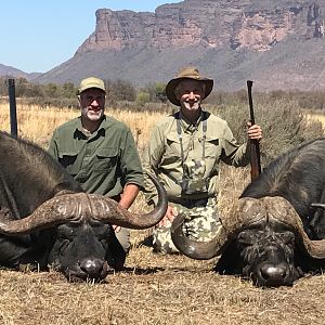 Hunting Cape Buffalo in South Africa