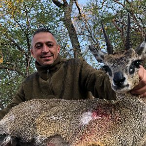 Zimbabwe Hunting Klipspringer