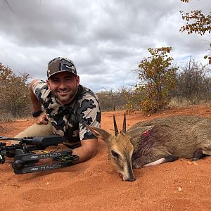 Duiker Bow Hunt South Africa