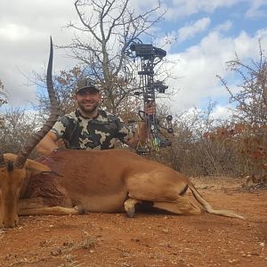 Impala Bow Hunting South Africa