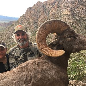 Desert Bighorn Sheep Hunting Mexico