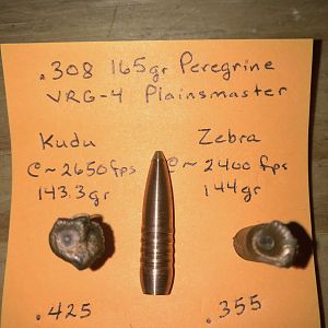 165 gr Peregrine Plainsmaster’s Bullet Performance