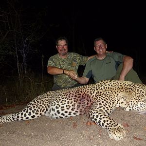 Hunting Leopard in Zimbabwe