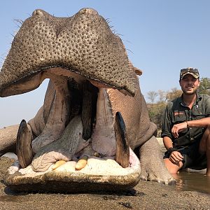 Hunt Hippo in Zimbabwe