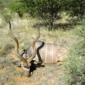 Namibia Hunt Kudu