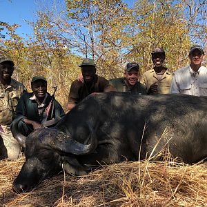 Zambia Hunt Cape Buffalo