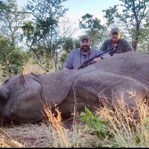 Elephant Hunt Zimbabwe