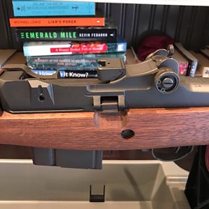 Springfield M1A Standard Rifle With Walnut Stock