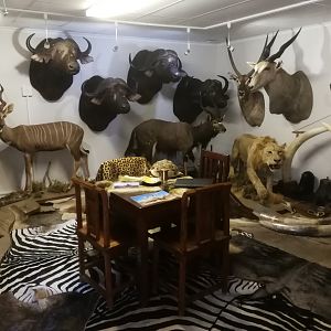 Trophy Room