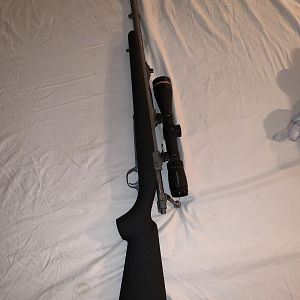 Ruger Hawkeye Rifle