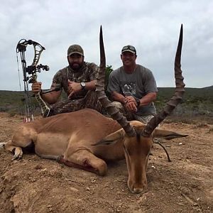 South Africa Bow Hunt Impala