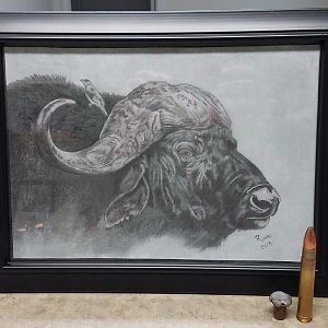 Hand drawn picture of a Cape Buffalo done in pencil, by Rindi Odendal