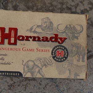 Hornady .470 gr DGS 500 grain solids